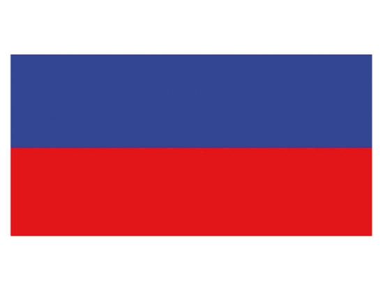 RUSSISCHE VLAG 20X30