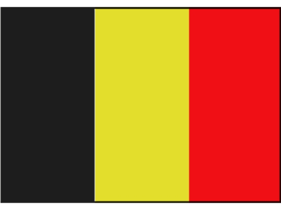 BELGISCHE VLAG 20X30