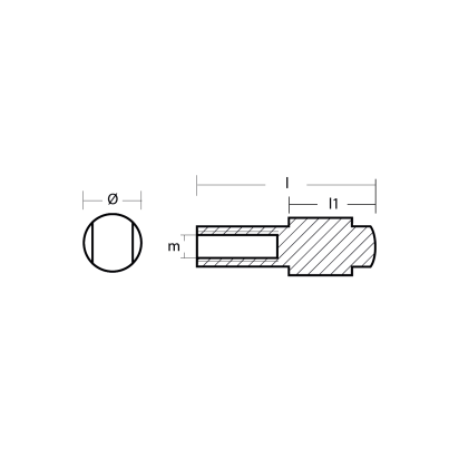 Zinc Parsun engine rod