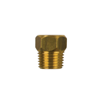 Brass Lombardini  brass plug 1/4''NPT (GAS CONICO)