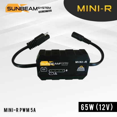 Mini-R PWM 5A