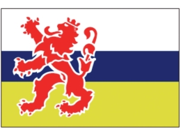 LIMBURGSE VLAG 20X30